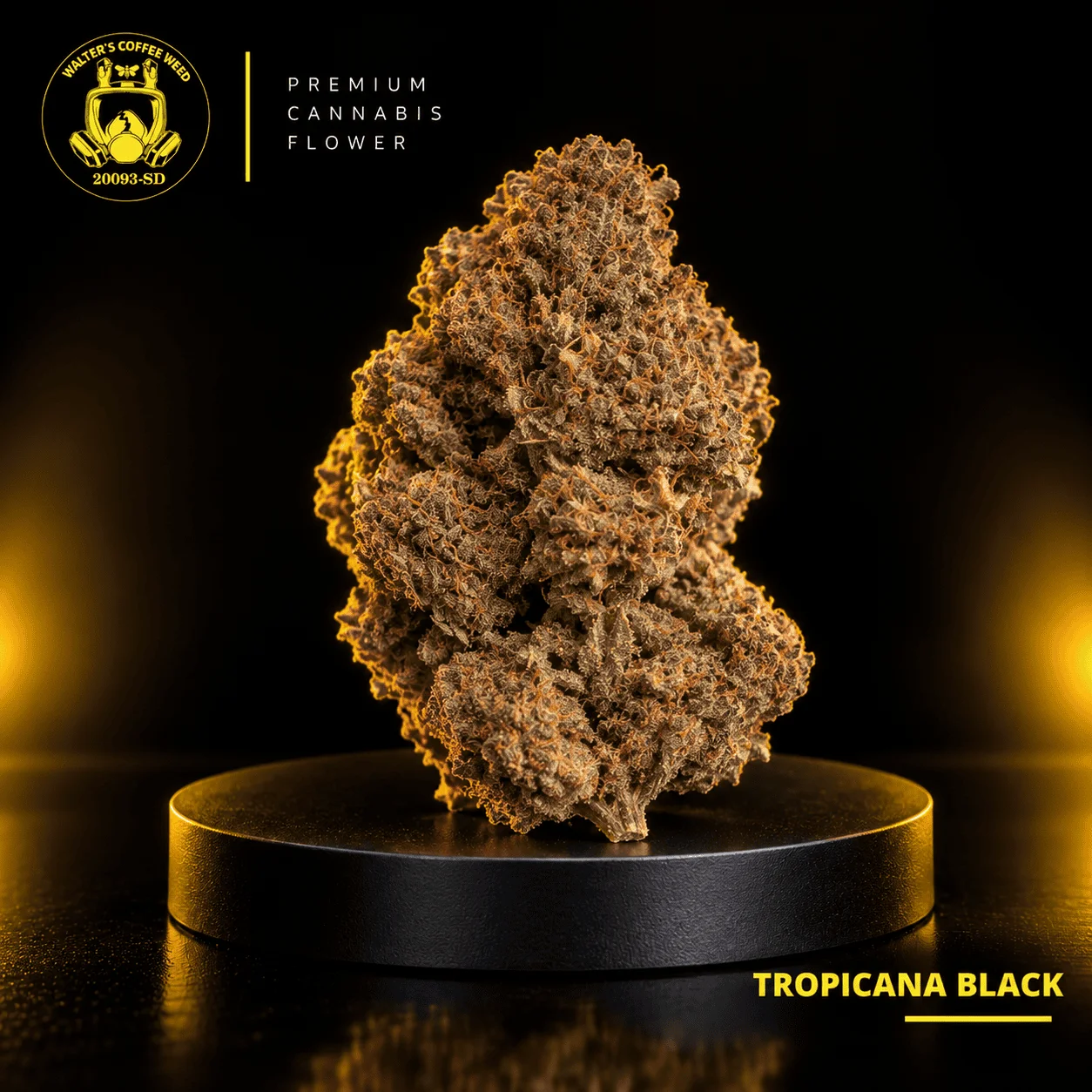 Tropicana Black