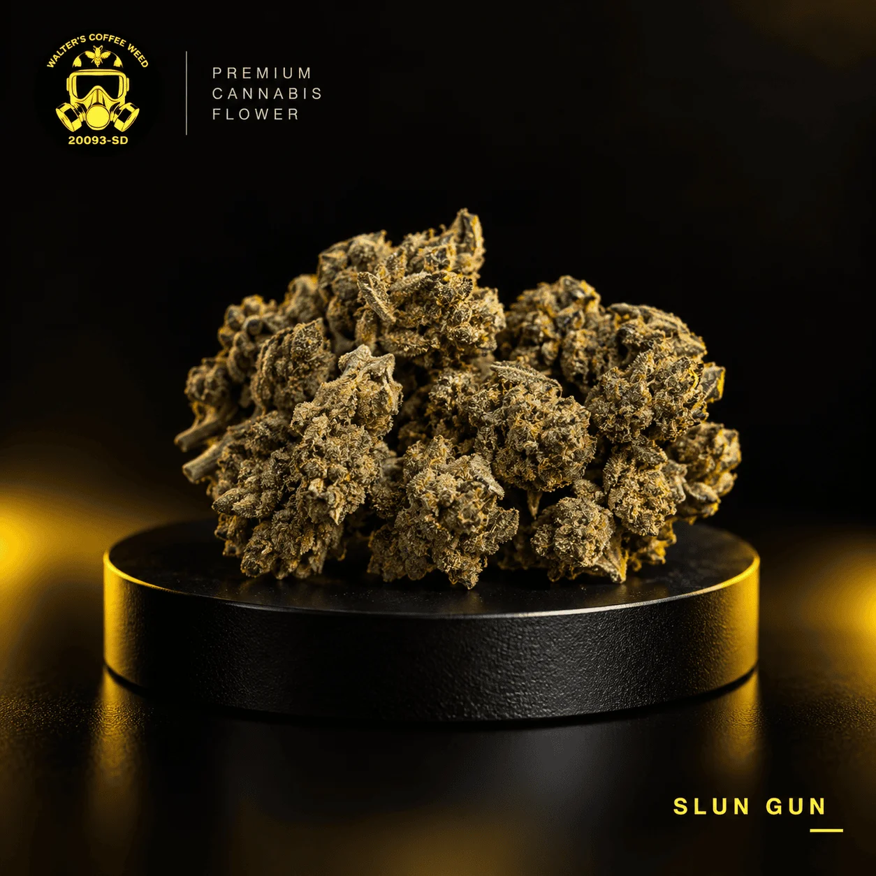 Slun Gun