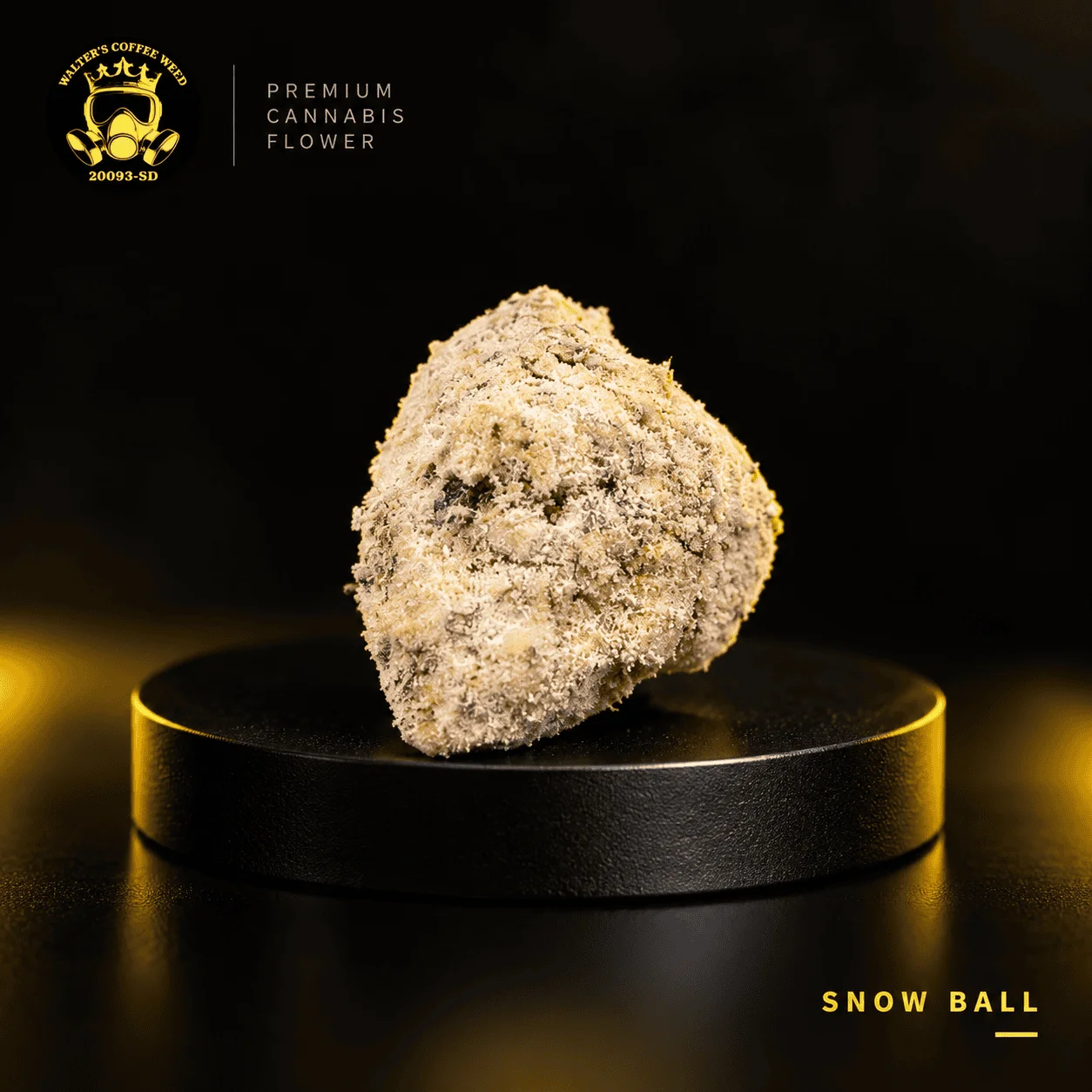 Snow Ball