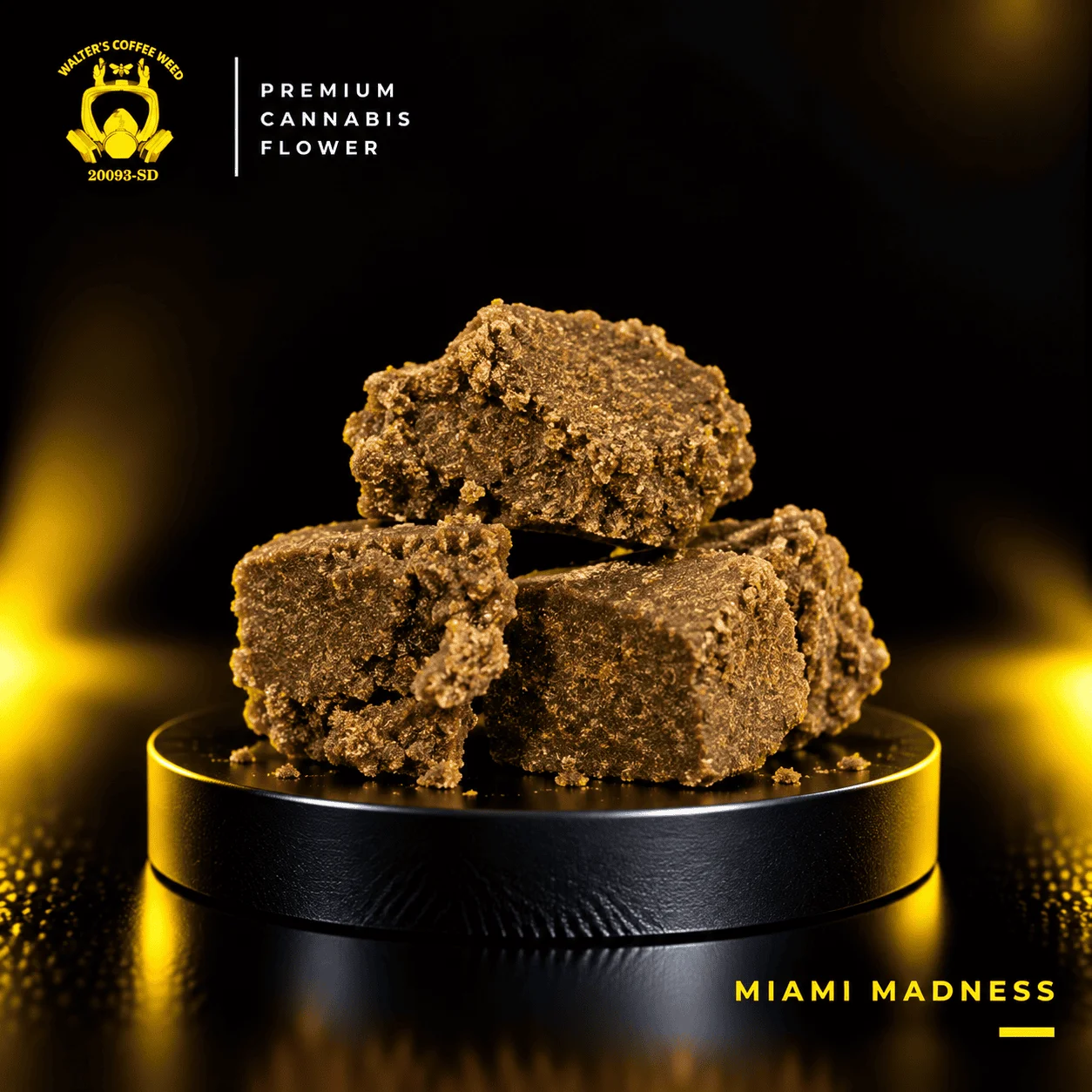 Miami Madness WPF