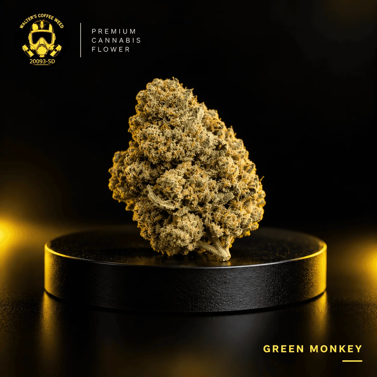 Green Monkey