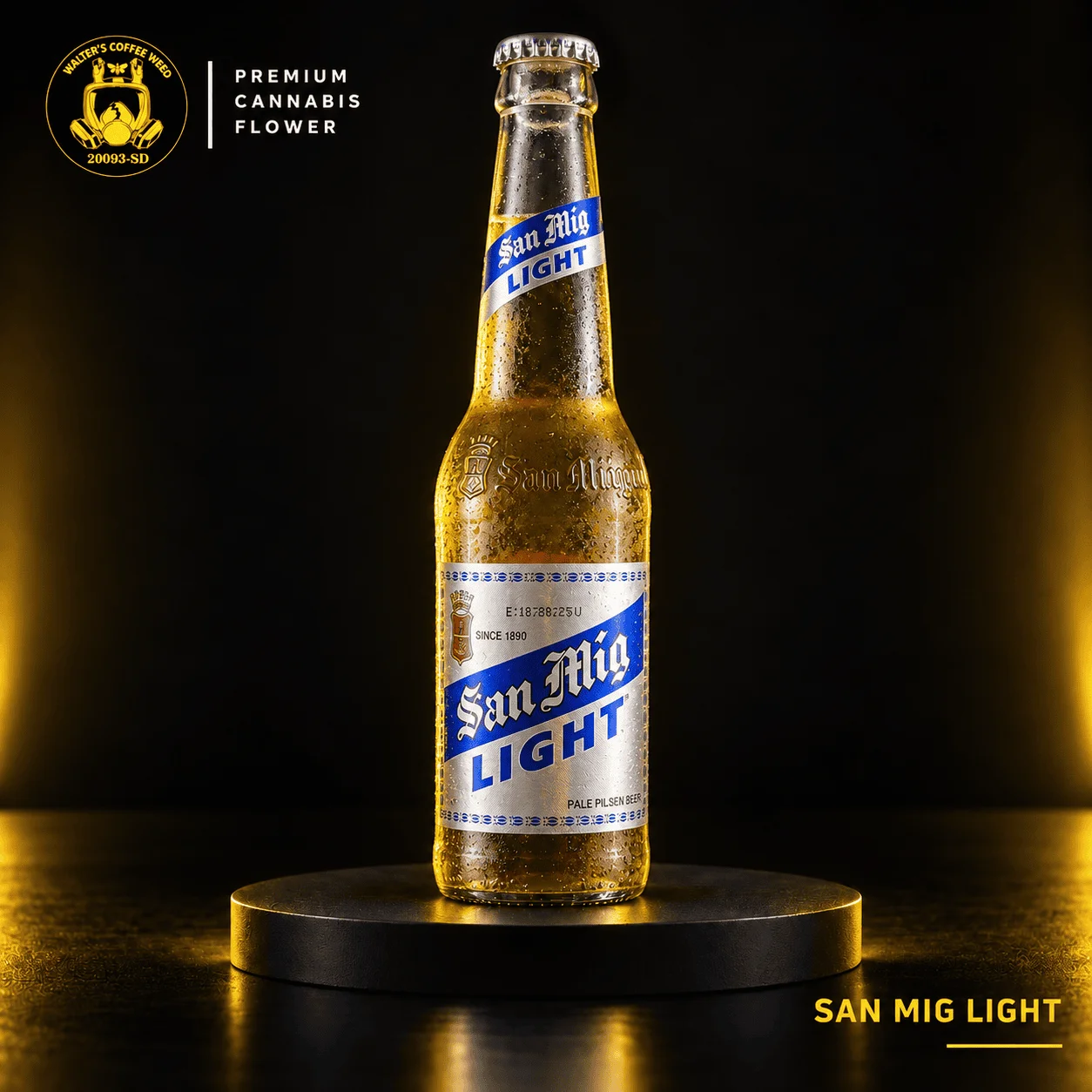 San Miguel